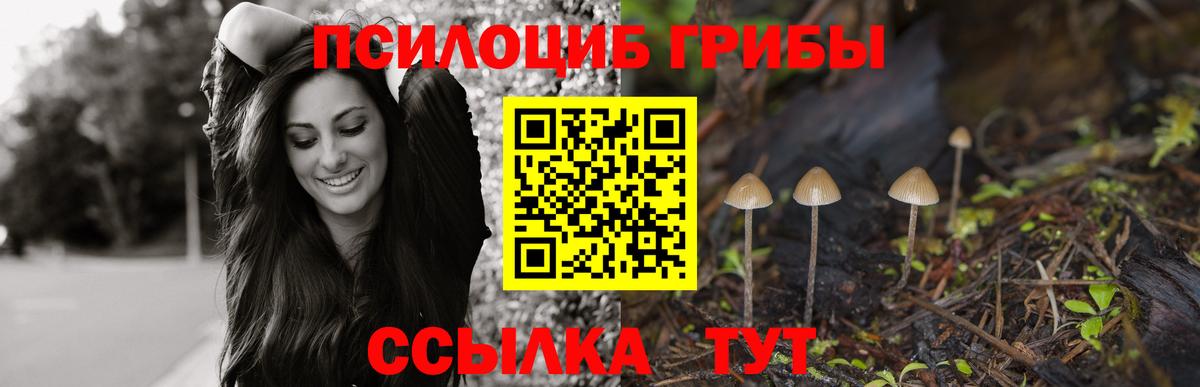 Псилоцибиновые грибы MAGIC MUSHROOMS Саров
